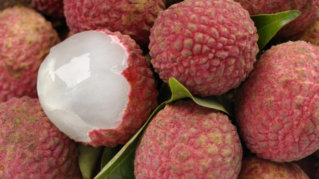 lichi
