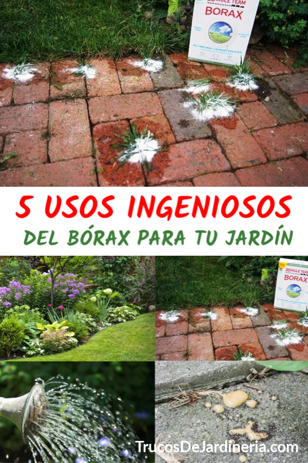 Borax Para Tu Jardin
