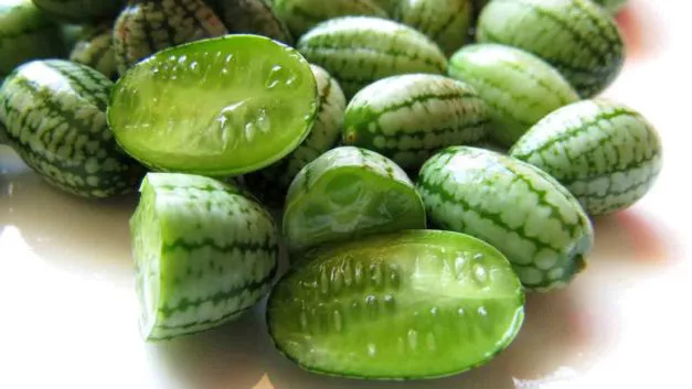 CUCAMELÓNES