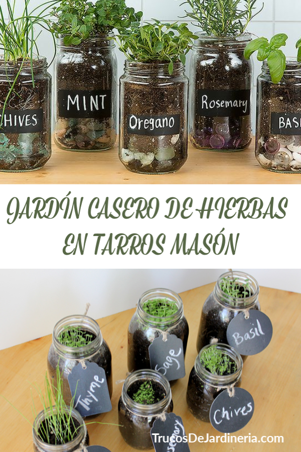 HIERBAS EN TARROS MASÓN