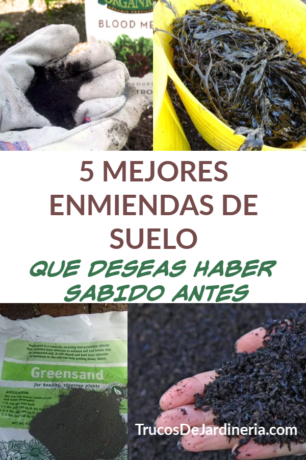 MEJORES ENMIENDAS DE SUELO