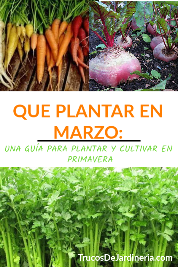 Que Plantar En Marzo