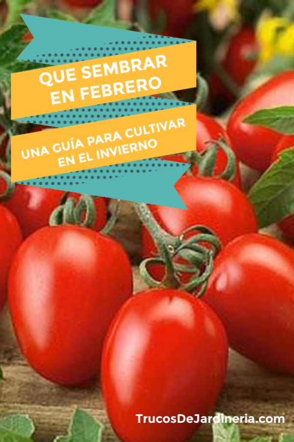 SEMBRAR EN FEBRERO