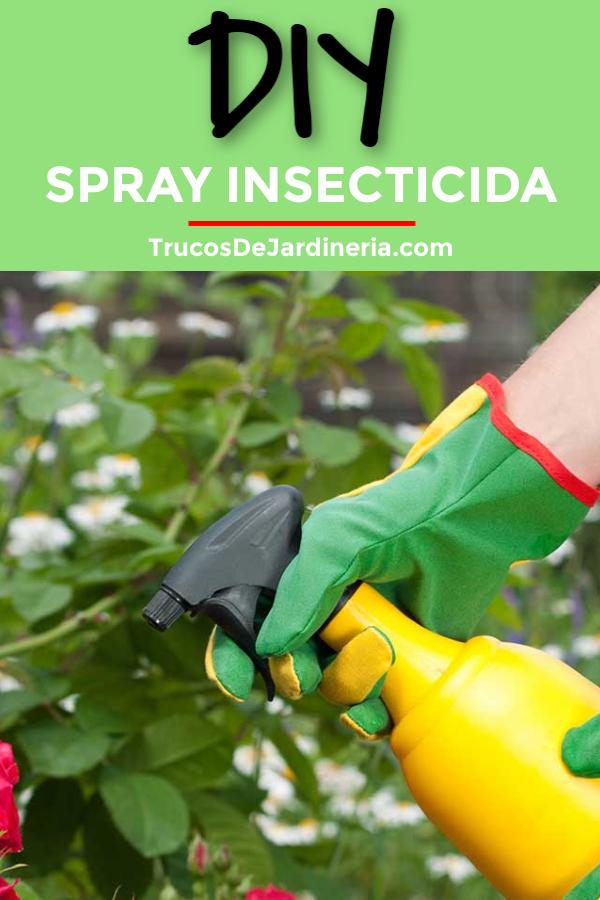 SPRAY INSECTICIDA DIY