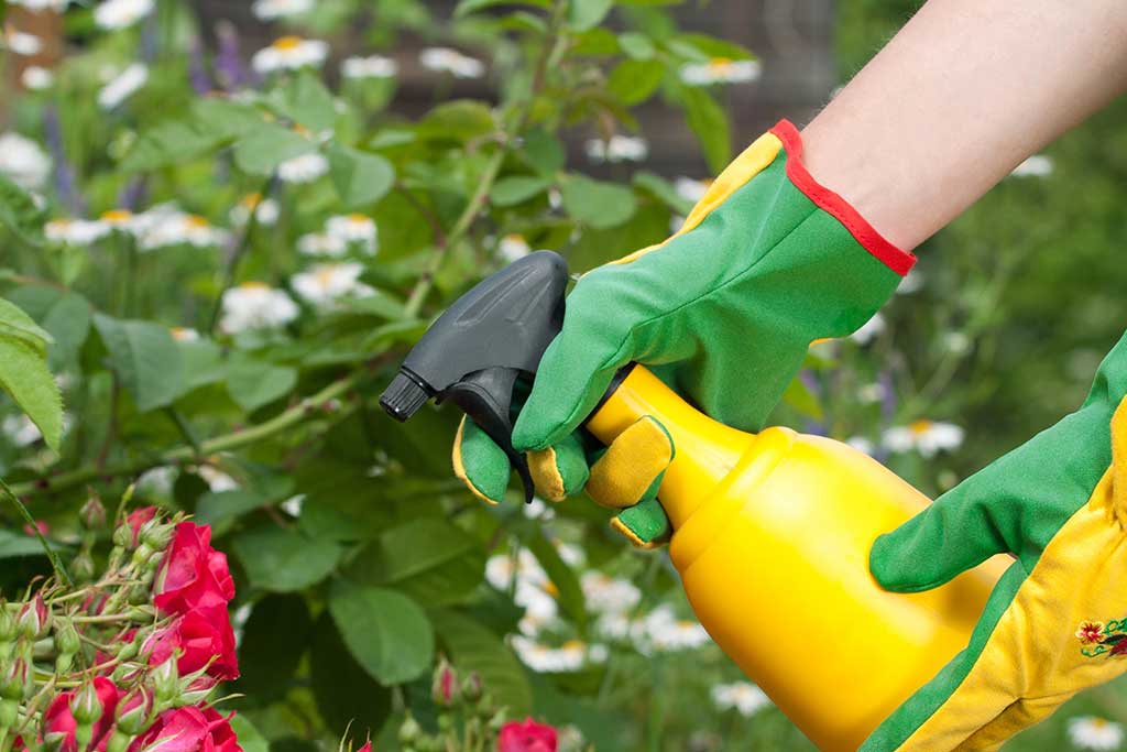 spray de jardin