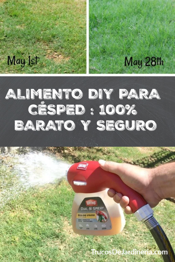 ALIMENTO DIY PARA CÉSPED
