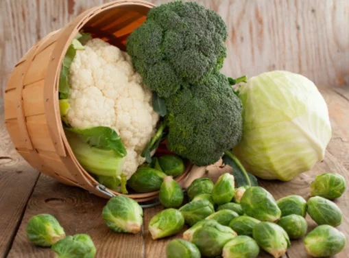 coliflor y repollo