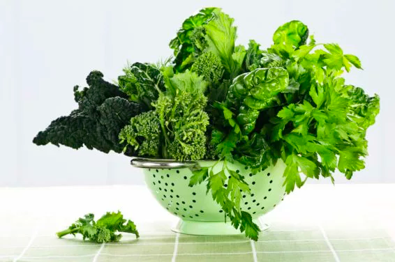 vegetales de hojas