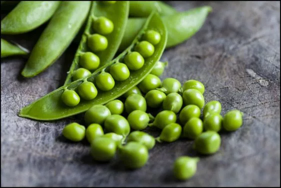 guisantes