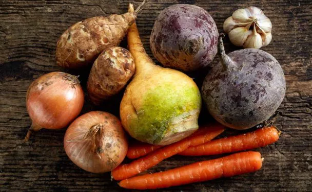 vegetales de raiz