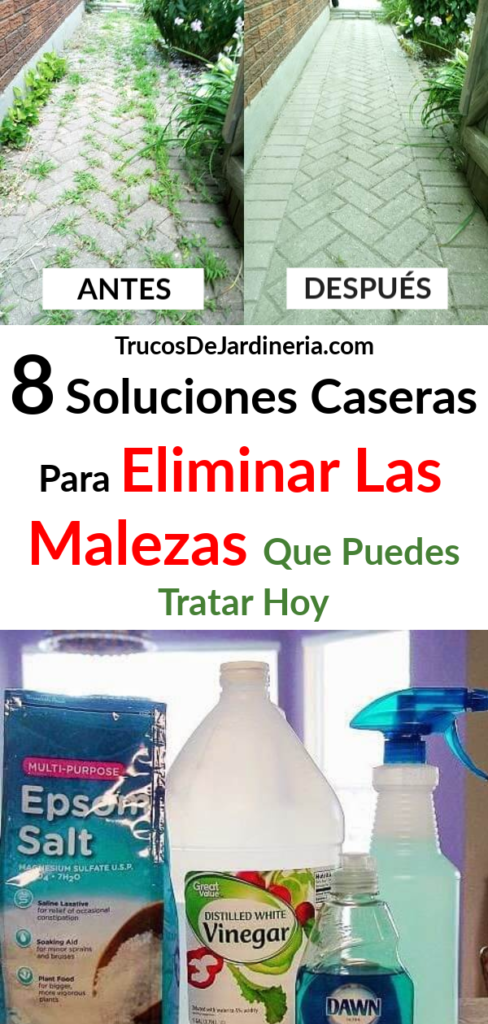 Soluciones Caseras Para Eliminar Las Malezas
