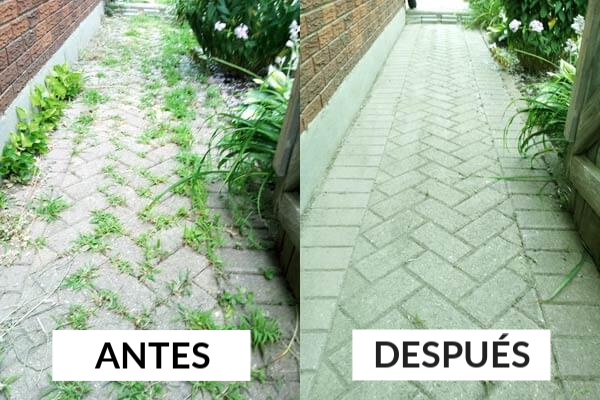 antes y despues la maleza (1)