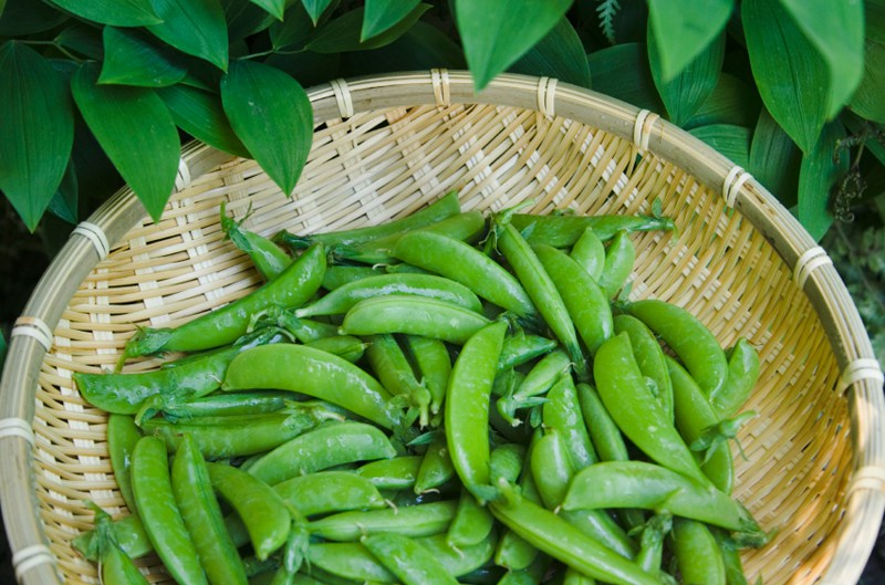 guisantes