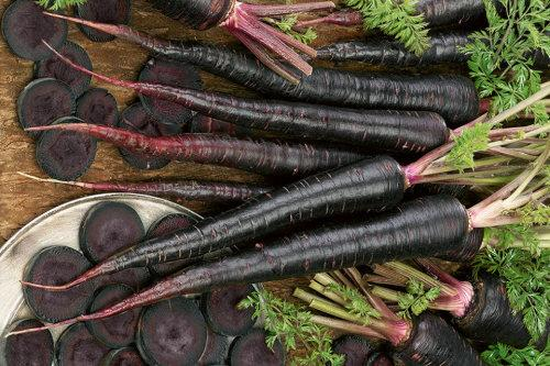 Zanahorias Nebulosa Negra
