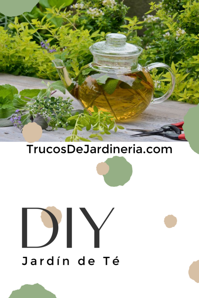 Jardín de Té