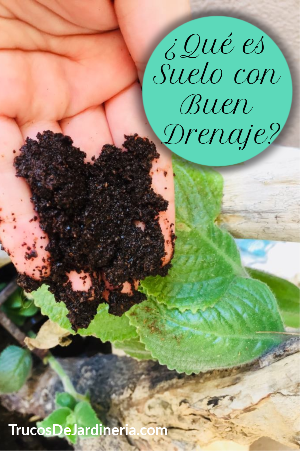 Suelo con Buen Drenaje