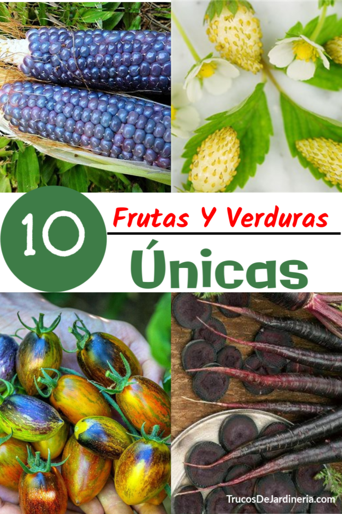 Frutas y Vegetales Únicos