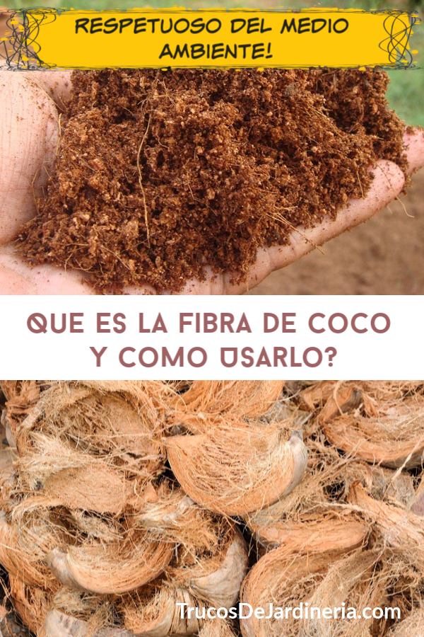 fibra de coco