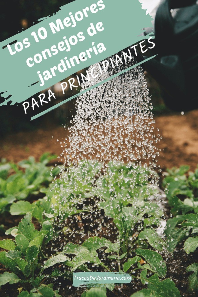 consejos de jardinería